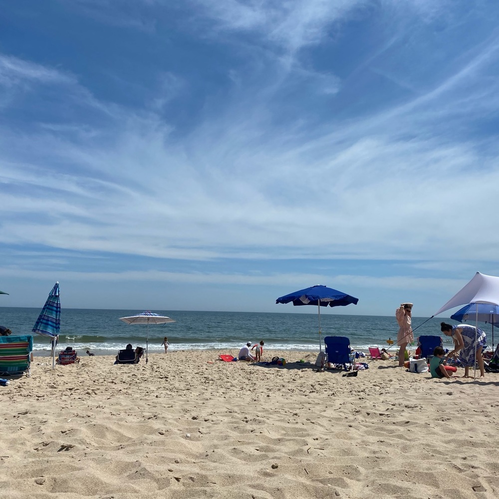 Meet your Posher, Madeleine